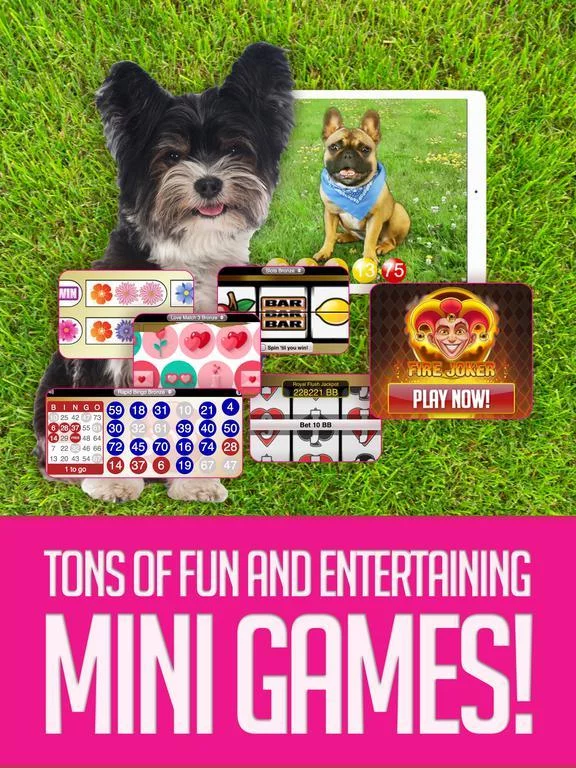 Изображение игры: BOOM BINGO: Live Video & Slots