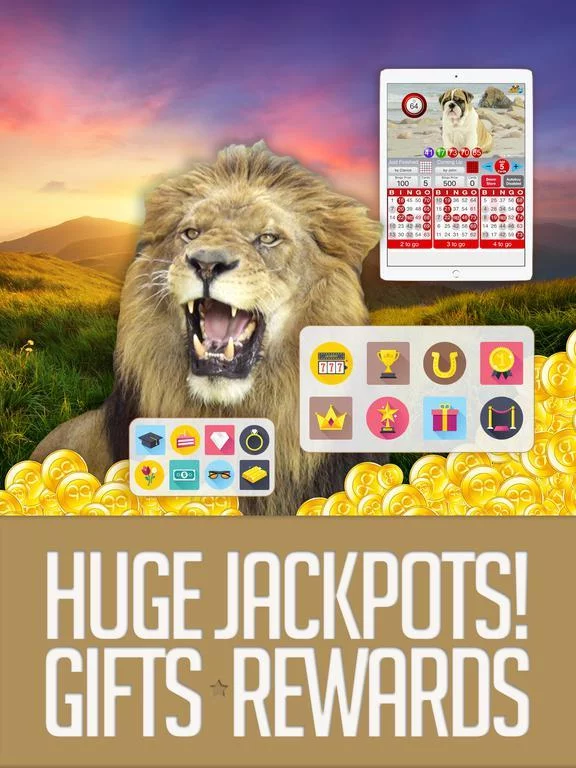 Изображение игры: BOOM BINGO: Live Video & Slots