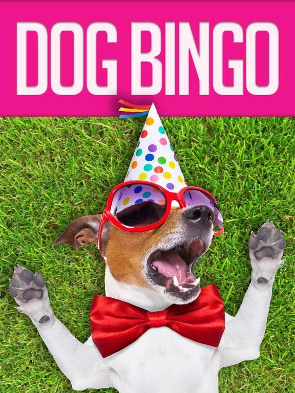 Изображение игры: DOG BINGO - Live Dog Bingo & Slots!