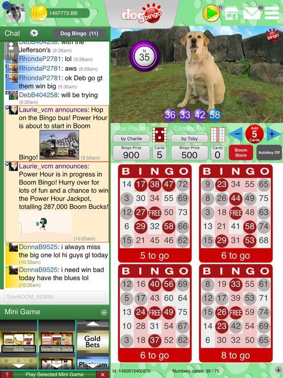 Изображение игры: DOG BINGO - Live Dog Bingo & Slots!