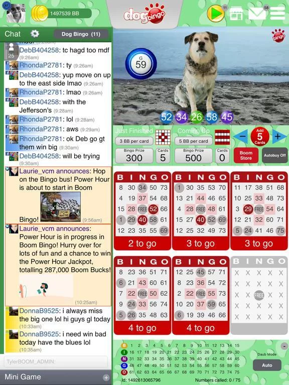 Изображение игры: DOG BINGO - Live Dog Bingo & Slots!