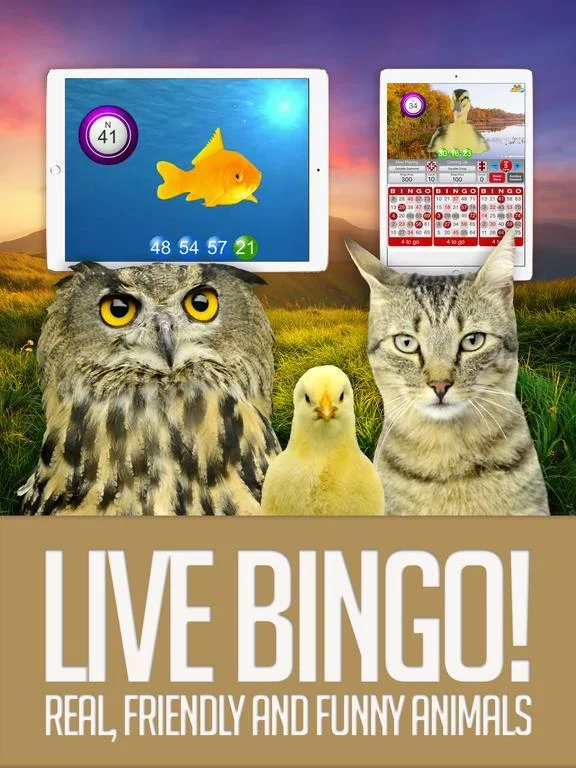 Изображение игры: ANIMAL BINGO - Live Animal Bingo & Slots!