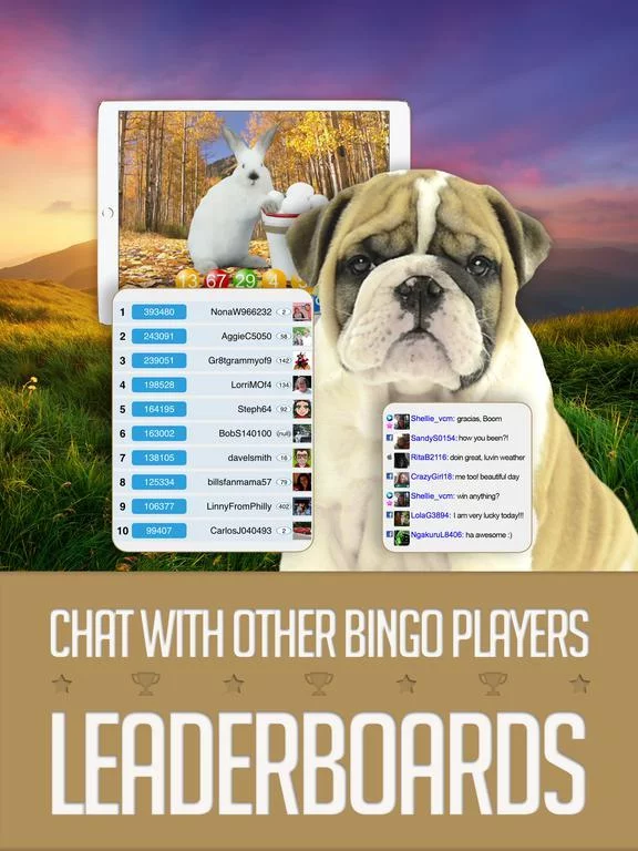Изображение игры: ANIMAL BINGO - Live Animal Bingo & Slots!