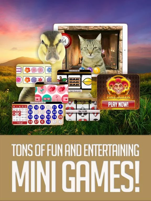 Изображение игры: ANIMAL BINGO - Live Animal Bingo & Slots!