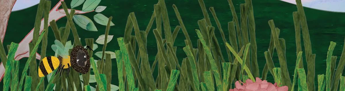 Изображение игры: Buzz Whizz: Bees