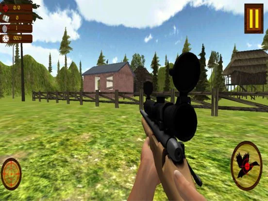 Изображение игры: Chicken Shooting