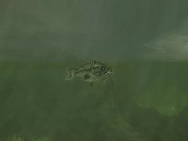 Изображение игры: Rapala Pro Fishing