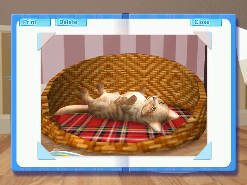 Изображение игры: Petz Catz 2