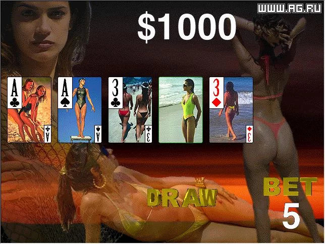Изображение игры: Bikini Poker