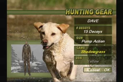 Изображение игры: Ultimate Duck Hunting