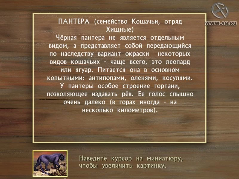 Изображение игры: Агентство "Котопес". Остров доктора Крысарди