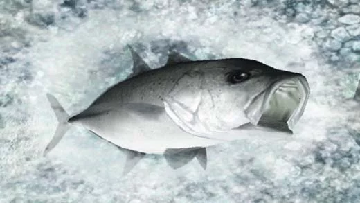 Изображение игры: Reel Fishing Ocean Challenge