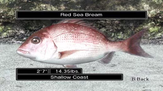Изображение игры: Reel Fishing Ocean Challenge