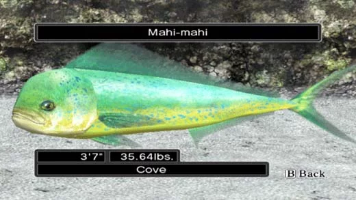 Изображение игры: Reel Fishing Ocean Challenge