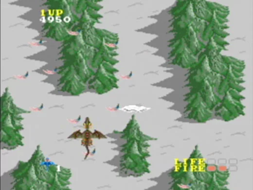 Изображение игры: Dragon Spirit
