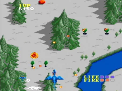 Изображение игры: Dragon Spirit