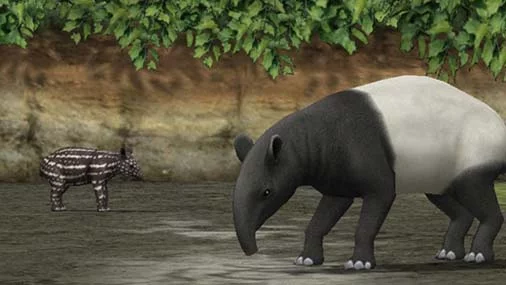 Изображение игры: My Zoo