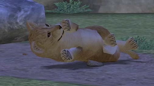 Изображение игры: My Zoo