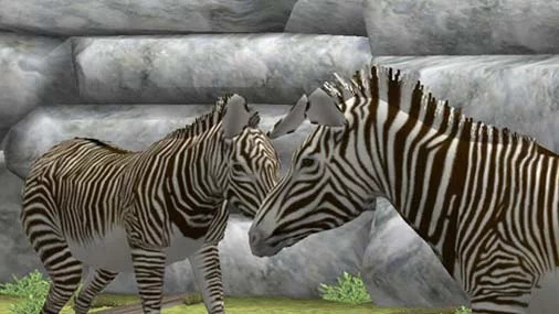 Изображение игры: My Zoo