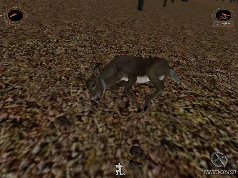 Изображение игры: Deer Hunter 2003