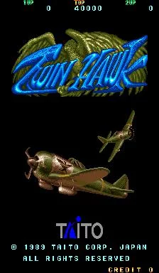 Изображение игры: Twin Hawk