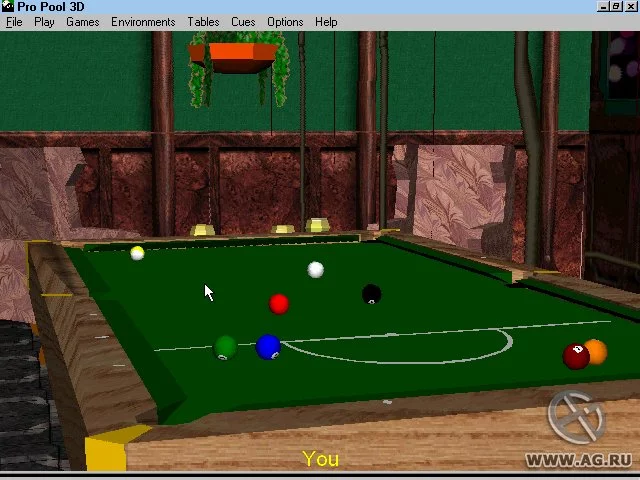 Изображение игры: Pro Pool 3D