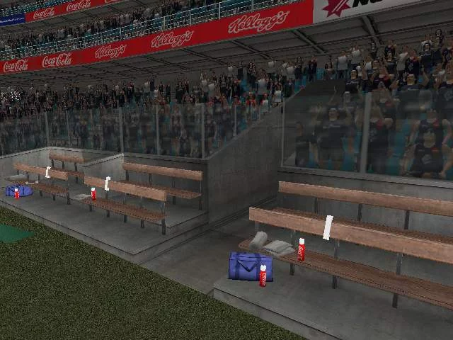 Изображение игры: AFL Premiership 2005
