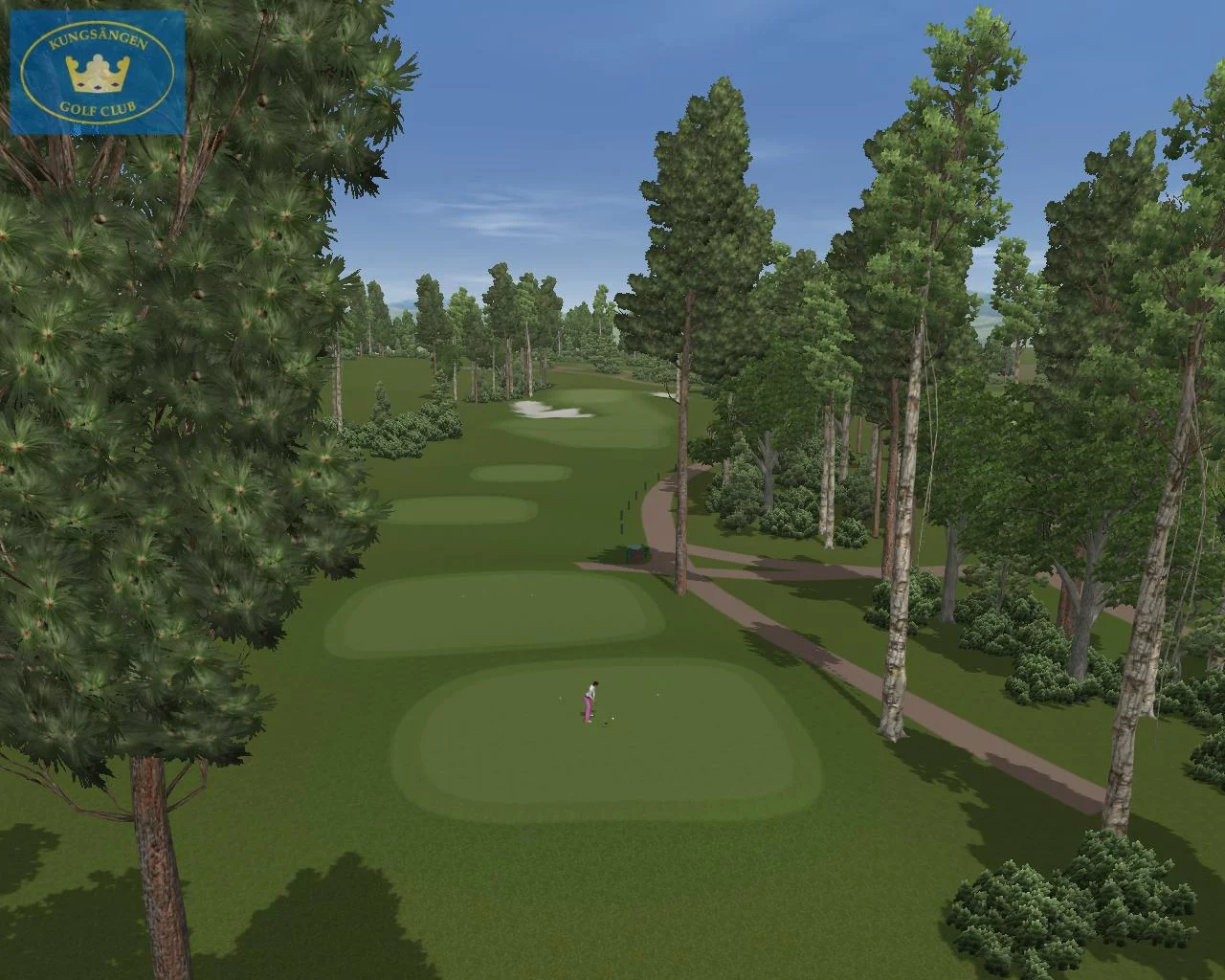 Изображение игры: CustomPlay Golf 2