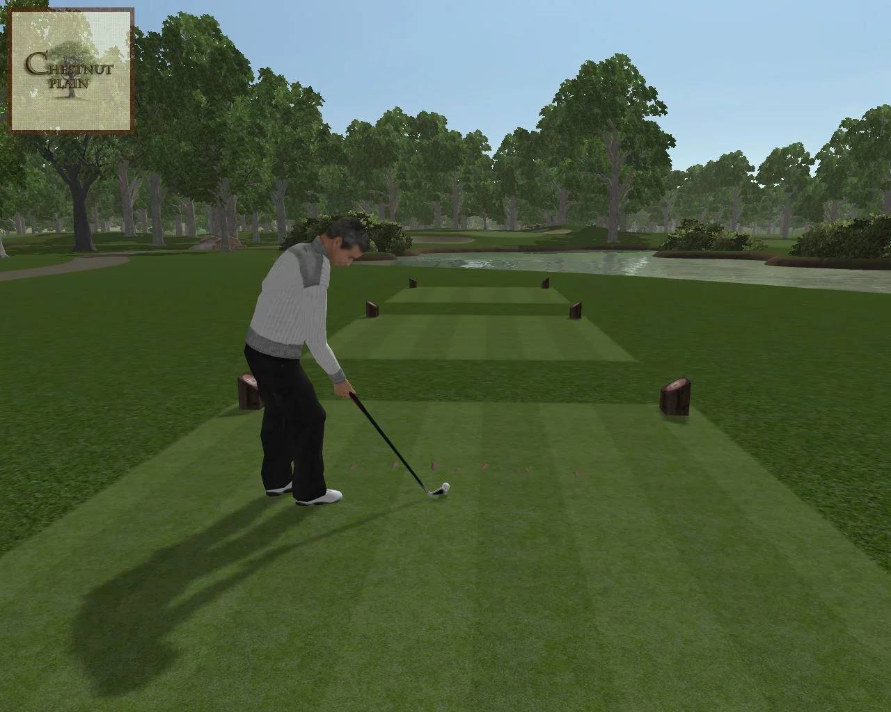 Изображение игры: CustomPlay Golf 2