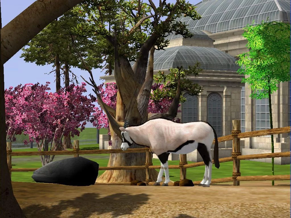 Изображение игры: Wildlife Park 2: Crazy Zoo