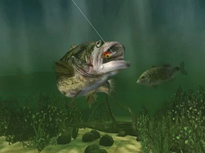 Изображение игры: Bass Pro Shops Trophy Bass 2007
