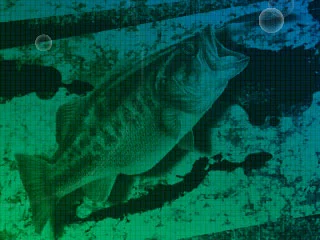 Изображение игры: Angler's Club: Ultimate Bass Fishing 3D
