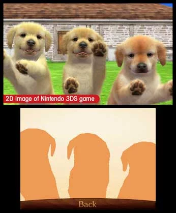 Изображение игры: nintendogs + cats: Toy Poodle & New Friends