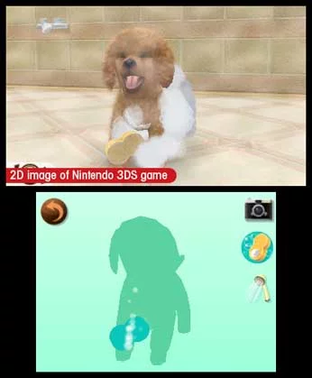 Изображение игры: nintendogs + cats: Toy Poodle & New Friends