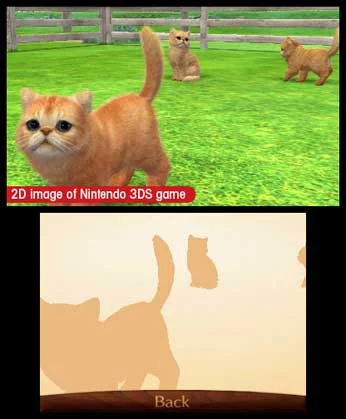 Изображение игры: nintendogs + cats: Toy Poodle & New Friends
