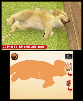 Изображение игры: nintendogs + cats: Toy Poodle & New Friends