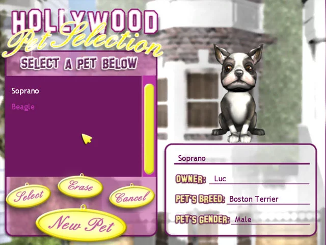 Изображение игры: Hollywood Pets