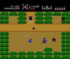 Изображение игры: The Mysterious Murasame Castle