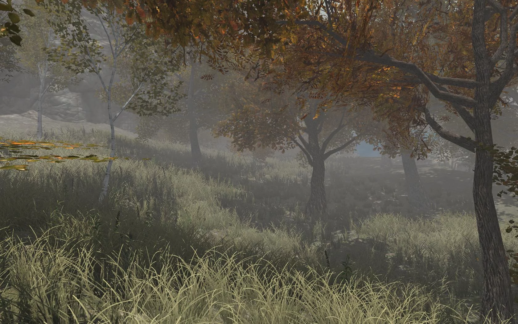 Изображение игры: Blackmoor Bay