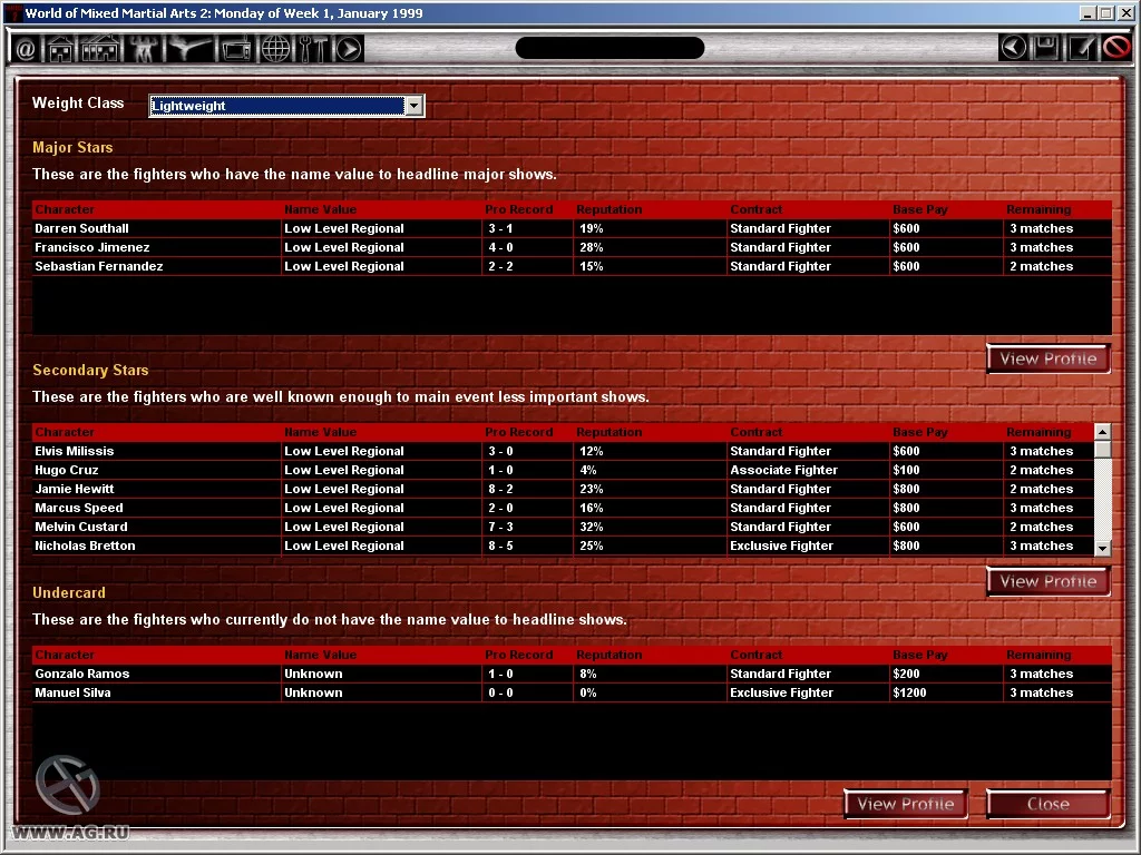Изображение игры: World of Mixed Martial Arts 2