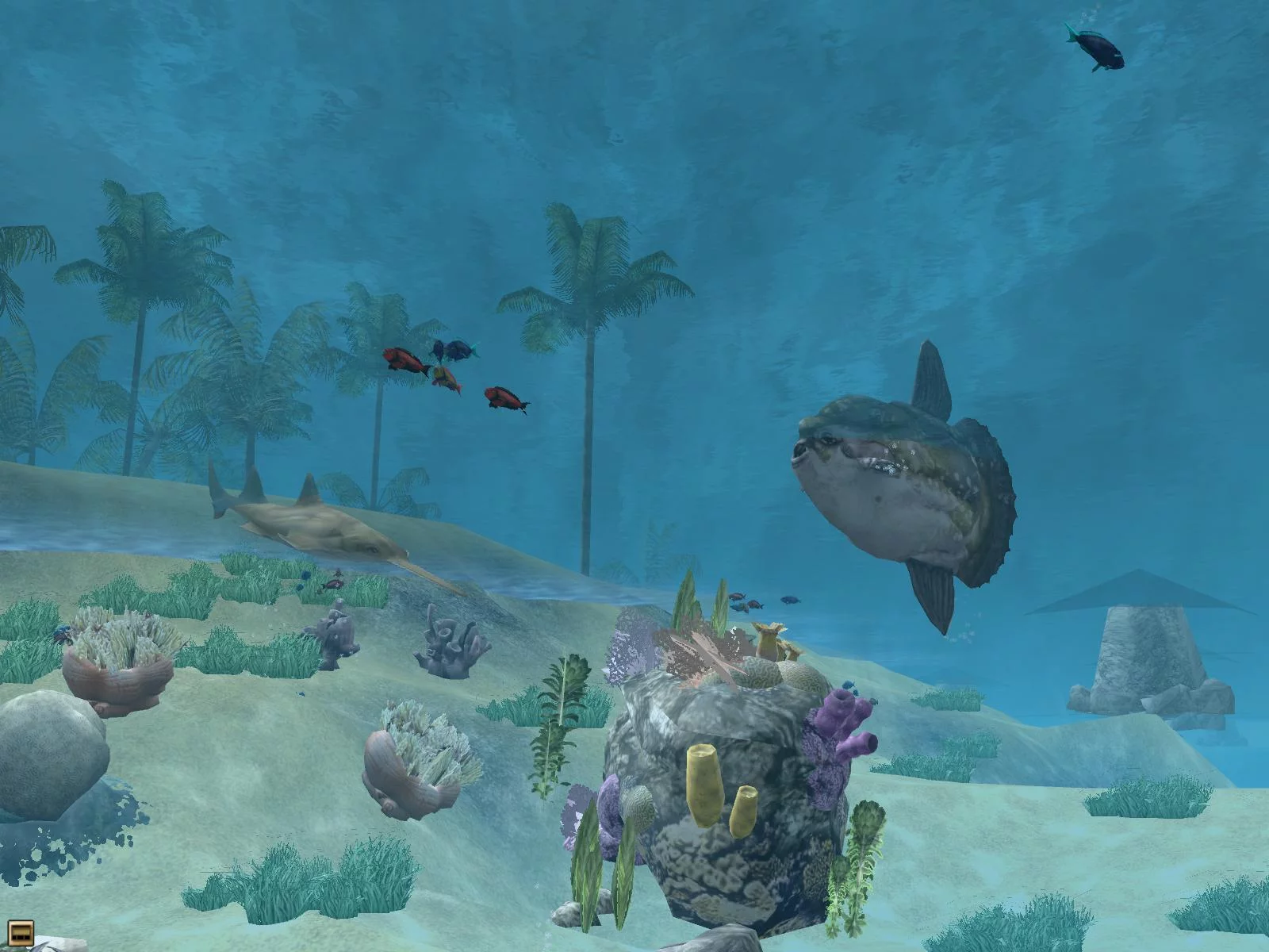 Изображение игры: Wildlife Park 2: Marine World
