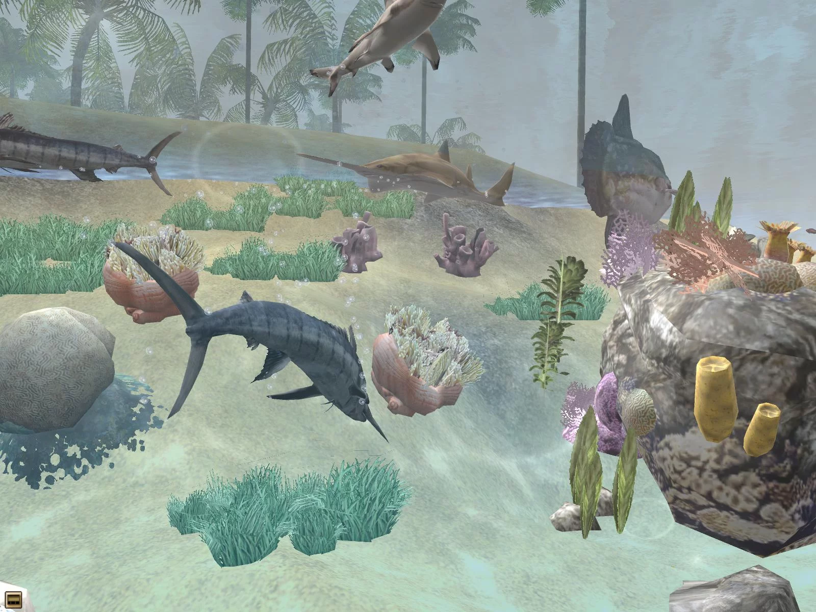 Изображение игры: Wildlife Park 2: Marine World