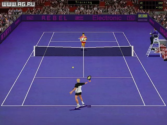 Изображение игры: Tennis Elbow