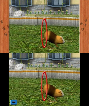 Изображение игры: Me & My Pets 3D