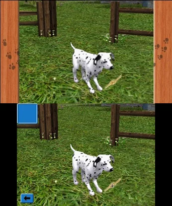 Изображение игры: Me & My Pets 3D