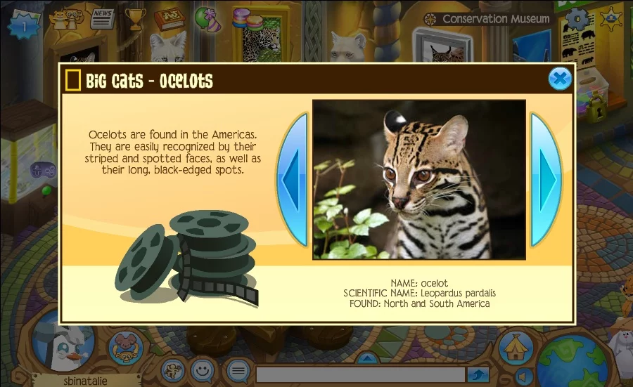 Изображение игры: AnimalJam