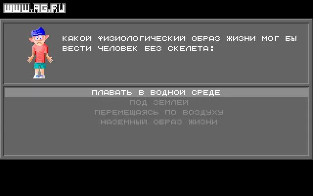 Изображение игры: Body Quest
