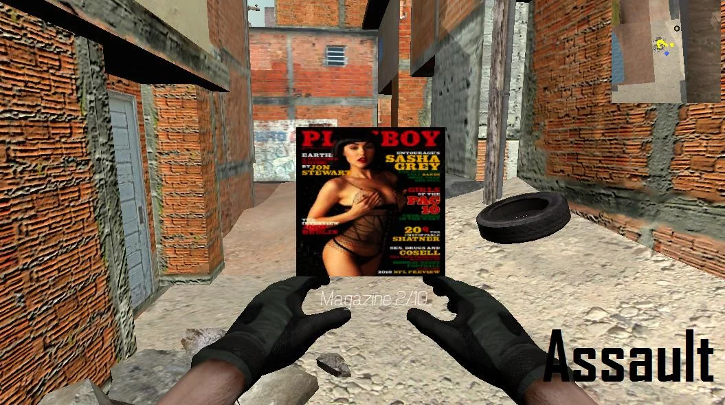 Изображение игры: Assault