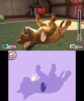 Изображение игры: PET INN 3D