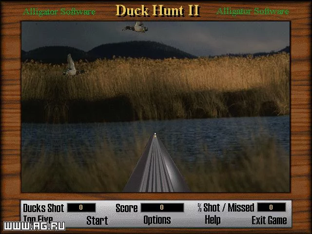 Изображение игры: Duck Hunt 2